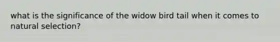 what is the significance of the widow bird tail when it comes to natural selection?