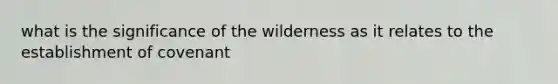 what is the significance of the wilderness as it relates to the establishment of covenant