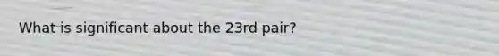 What is significant about the 23rd pair?