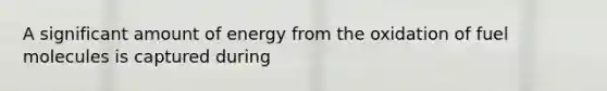 A significant amount of energy from the oxidation of fuel molecules is captured during