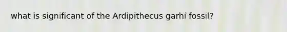 what is significant of the Ardipithecus garhi fossil?