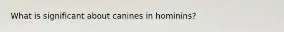 What is significant about canines in hominins?