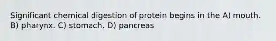 Significant chemical digestion of protein begins in the A) mouth. B) pharynx. C) stomach. D) pancreas