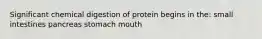 Significant chemical digestion of protein begins in the: small intestines pancreas stomach mouth