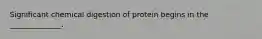 Significant chemical digestion of protein begins in the ______________.