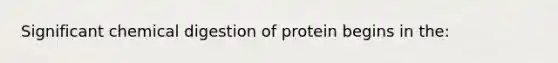 Significant chemical digestion of protein begins in the: