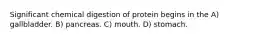 Significant chemical digestion of protein begins in the A) gallbladder. B) pancreas. C) mouth. D) stomach.