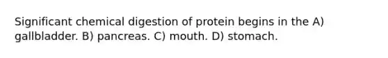 Significant chemical digestion of protein begins in the A) gallbladder. B) pancreas. C) mouth. D) stomach.