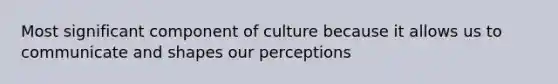 Most significant component of culture because it allows us to communicate and shapes our perceptions