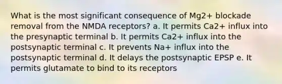 What is the most significant consequence of Mg2+ blockade removal from the NMDA receptors? a. It permits Ca2+ influx into the presynaptic terminal b. It permits Ca2+ influx into the postsynaptic terminal c. It prevents Na+ influx into the postsynaptic terminal d. It delays the postsynaptic EPSP e. It permits glutamate to bind to its receptors