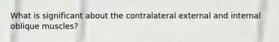 What is significant about the contralateral external and internal oblique muscles?