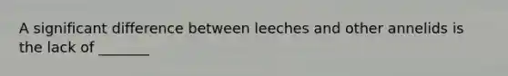 A significant difference between leeches and other annelids is the lack of _______