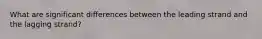 What are significant differences between the leading strand and the lagging strand?