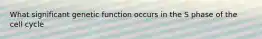 What significant genetic function occurs in the S phase of the cell cycle