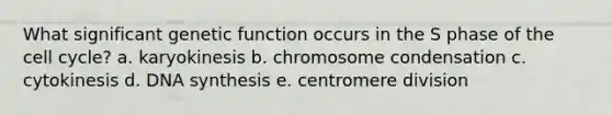 What significant genetic function occurs in the S phase of the cell cycle? a. karyokinesis b. chromosome condensation c. cytokinesis d. DNA synthesis e. centromere division