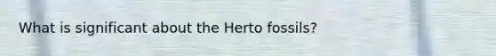 What is significant about the Herto fossils?