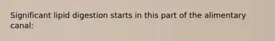 Significant lipid digestion starts in this part of the alimentary canal: