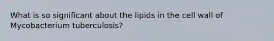 What is so significant about the lipids in the cell wall of Mycobacterium tuberculosis?