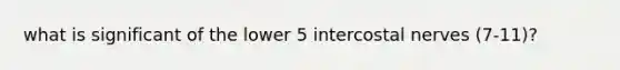 what is significant of the lower 5 intercostal nerves (7-11)?