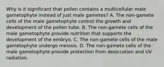 Why is it significant that pollen contains a multicellular male gametophyte instead of just male gametes? A. The non-gamete cells of the male gametophyte control the <a href='https://www.questionai.com/knowledge/kde2iCObwW-growth-and-development' class='anchor-knowledge'>growth and development</a> of the pollen tube. B. The non-gamete cells of the male gametophyte provide nutrition that supports the development of the embryo. C. The non-gamete cells of the male gametophyte undergo meiosis. D. The non-gamete cells of the male gametophyte provide protection from desiccation and UV radiation.