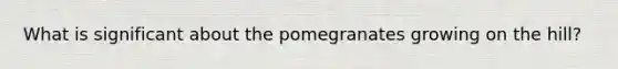 What is significant about the pomegranates growing on the hill?