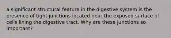 a significant structural feature in the digestive system is the presence of tight junctions located near the exposed surface of cells lining the digestive tract. Why are these junctions so important?