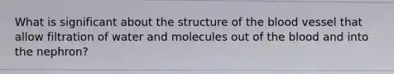 What is significant about the structure of the blood vessel that allow filtration of water and molecules out of the blood and into the nephron?