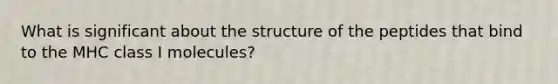 What is significant about the structure of the peptides that bind to the MHC class I molecules?