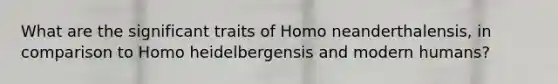 What are the significant traits of Homo neanderthalensis, in comparison to Homo heidelbergensis and modern humans?