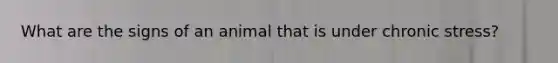 What are the signs of an animal that is under chronic stress?