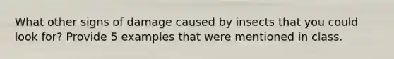 What other signs of damage caused by insects that you could look for? Provide 5 examples that were mentioned in class.