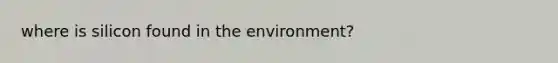 where is silicon found in the environment?