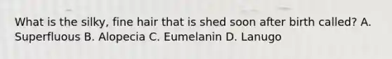 What is the silky, fine hair that is shed soon after birth called? A. Superfluous B. Alopecia C. Eumelanin D. Lanugo