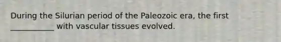 During the Silurian period of the Paleozoic era, the first ___________ with <a href='https://www.questionai.com/knowledge/k1HVFq17mo-vascular-tissue' class='anchor-knowledge'>vascular tissue</a>s evolved.