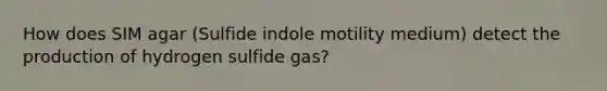 How does SIM agar (Sulfide indole motility medium) detect the production of hydrogen sulfide gas?