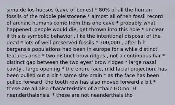 sima de los huesos (cave of bones) * 80% of all the human fossils of the middle pleistocene * almost all of teh fossil record of archaic humans come from this one cave * probably what happened, people would die, get thrown into this hole * unclear if this is symbolic behavior , like the intentional disposal of the dead * lots of well preserved fossils * 300,000 , after h h bergensis populations had been in europe for a while distinct features arise * two distinct brow ridges , not a continuous bar * distinct gap between the two eyes' brow ridges * large nasal cavity , large opening * the entire face, mid facial projection, has been pulled out a bit * same size brain * as the face has been pulled forward, the tooth row has also moved forward a bit * these are all also characteristics of Archaic HOmo: H. neanderthalensis. * these are not neanderthals tho