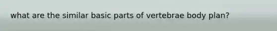 what are the similar basic parts of vertebrae body plan?