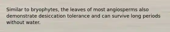 Similar to bryophytes, the leaves of most angiosperms also demonstrate desiccation tolerance and can survive long periods without water.