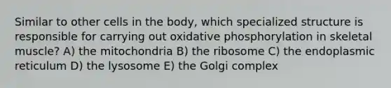 Similar to other cells in the body, which specialized structure is responsible for carrying out oxidative phosphorylation in skeletal muscle? A) the mitochondria B) the ribosome C) the endoplasmic reticulum D) the lysosome E) the Golgi complex