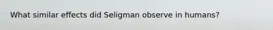 What similar effects did Seligman observe in humans?