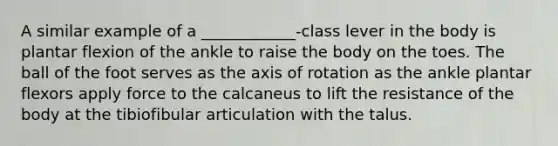 A similar example of a ____________-class lever in the body is plantar flexion of the ankle to raise the body on the toes. The ball of the foot serves as the axis of rotation as the ankle plantar flexors apply force to the calcaneus to lift the resistance of the body at the tibiofibular articulation with the talus.