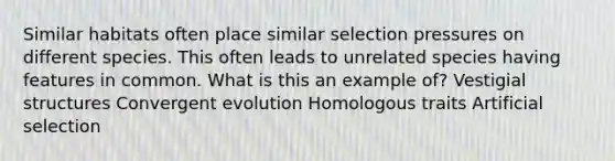 Similar habitats often place similar selection pressures on different species. This often leads to unrelated species having features in common. What is this an example of? Vestigial structures Convergent evolution Homologous traits Artificial selection