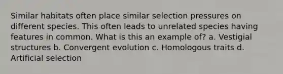 Similar habitats often place similar selection pressures on different species. This often leads to unrelated species having features in common. What is this an example of? a. Vestigial structures b. Convergent evolution c. Homologous traits d. Artificial selection