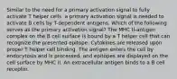 Similar to the need for a primary activation signal to fully activate T helper cells, a primary activation signal is needed to activate B cells by T-dependent antigens. Which of the following serves as the primary activation signal? The MHC II-antigen complex on the B cell surface is bound by a T helper cell that can recognize the presented epitope. Cytokines are released upon proper T helper cell binding. The antigen enters the cell by endocytosis and is processed, and epitopes are displayed on the cell surface by MHC II. An extracellular antigen binds to a B cell receptor.