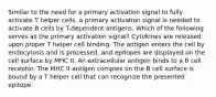 Similar to the need for a primary activation signal to fully activate T helper cells, a primary activation signal is needed to activate B cells by T-dependent antigens. Which of the following serves as the primary activation signal? Cytokines are released upon proper T helper cell binding. The antigen enters the cell by endocytosis and is processed, and epitopes are displayed on the cell surface by MHC II. An extracellular antigen binds to a B cell receptor. The MHC II-antigen complex on the B cell surface is bound by a T helper cell that can recognize the presented epitope.