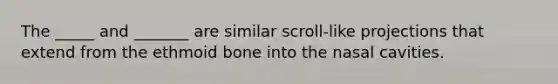 The _____ and _______ are similar scroll-like projections that extend from the ethmoid bone into the nasal cavities.