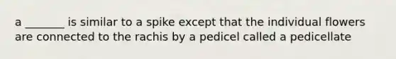 a _______ is similar to a spike except that the individual flowers are connected to the rachis by a pedicel called a pedicellate