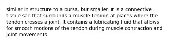 similar in structure to a bursa, but smaller. It is a connective tissue sac that surrounds a muscle tendon at places where the tendon crosses a joint. It contains a lubricating fluid that allows for smooth motions of the tendon during muscle contraction and joint movements