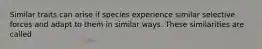 Similar traits can arise if species experience similar selective forces and adapt to them in similar ways. These similarities are called