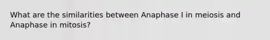 What are the similarities between Anaphase I in meiosis and Anaphase in mitosis?